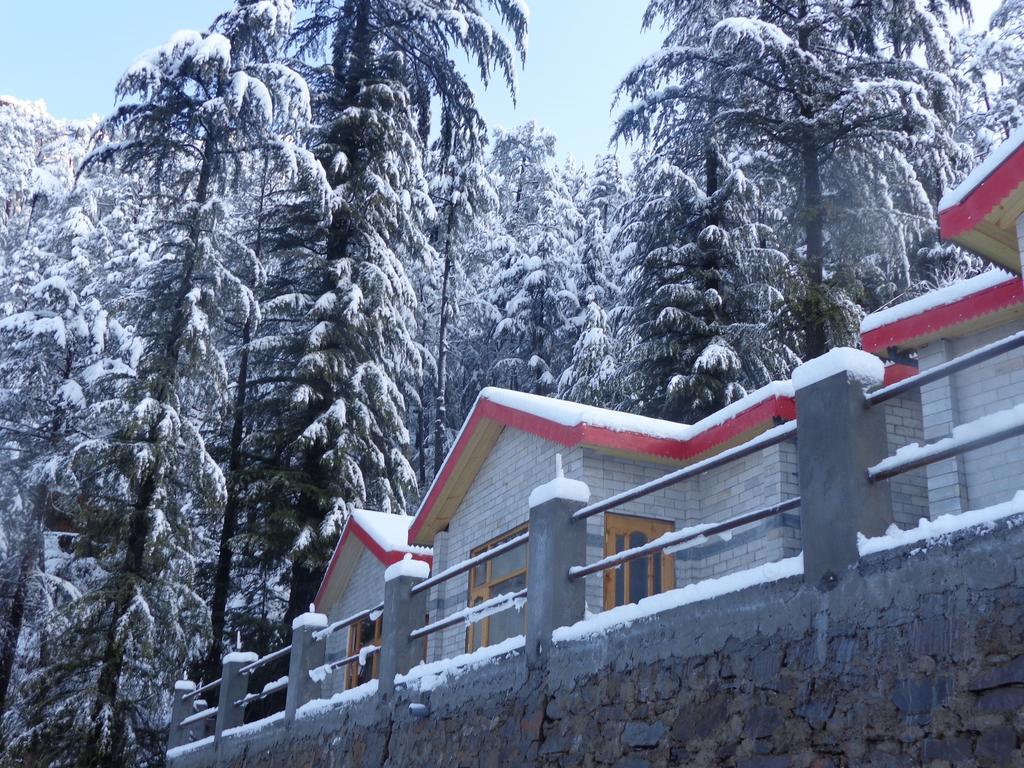Village Live In Resort Chail Exterior foto
